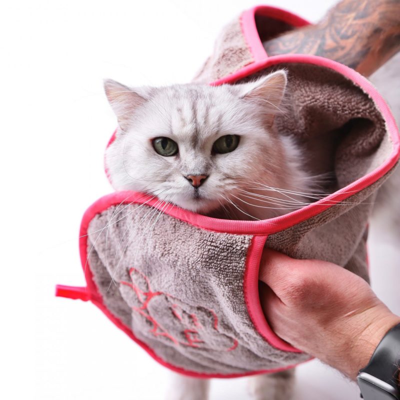 Green Fiber Pet, Файбер для животных